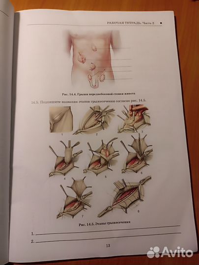 Тетрадь по топографической анатомии