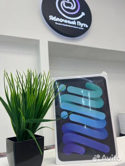 iPad Mini 6 Wi-Fi 256gb Space Gray