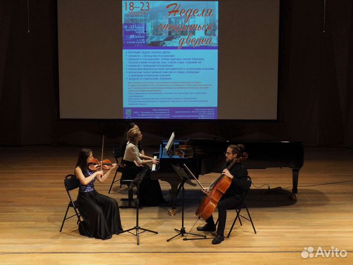 Преподаватель скрипки