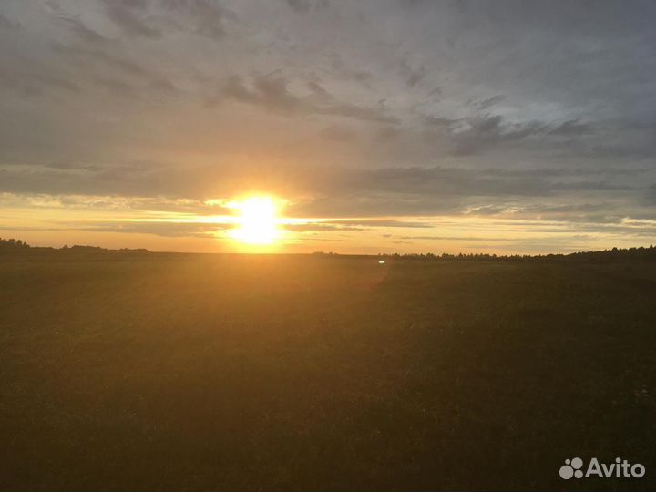 Домашняя молочная продукция