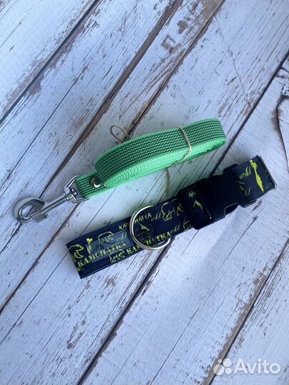 Ошейники и поводки для собак