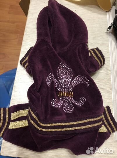 Одежда для маленьких собак xs