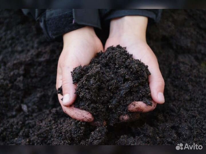 Плодородный грунт (песок)