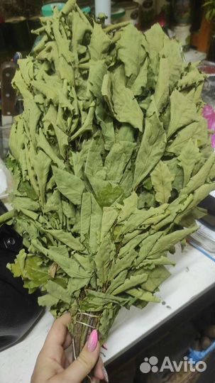 Дубовые Веники Этого Года