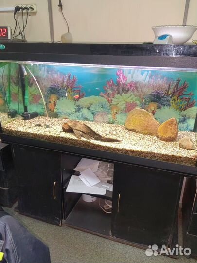 Аквариум с тумбой 450 литров