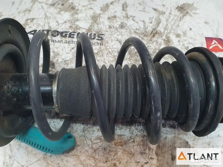 Стойка передняя левая toyota vitz