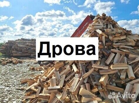 Дрова берёза