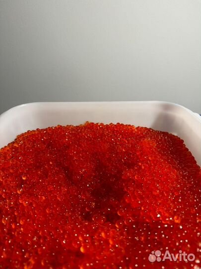 Икра форель натур. Опт