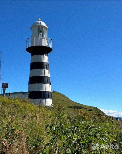 Камчатка летом путевка экскурсия 7-9 дней