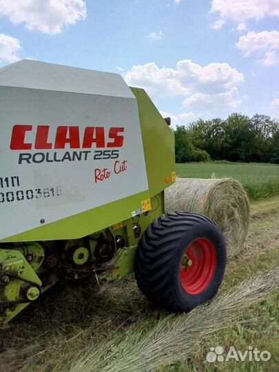 Сено в рулонах