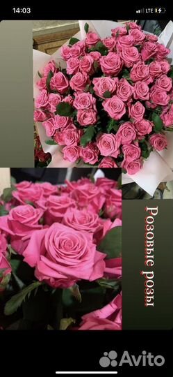 Розы цветы