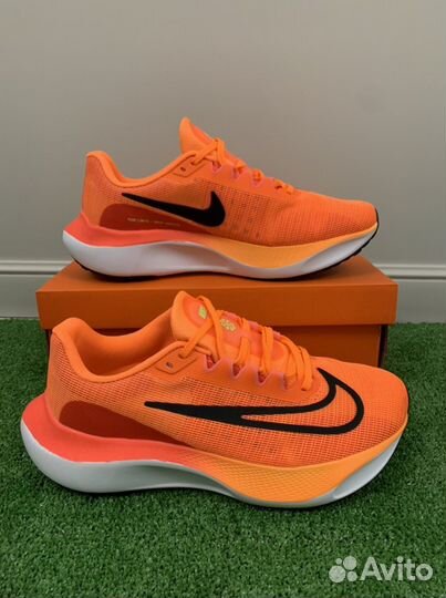 Беговые кроссовки Nike Fly 5 / Pegasus 39