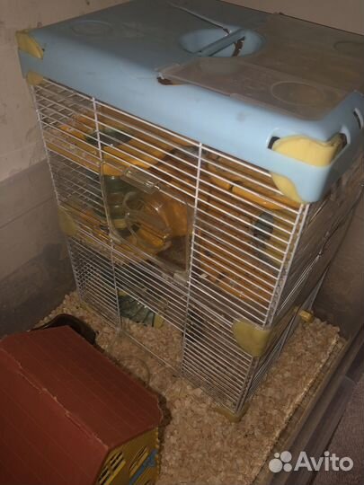 Клетка для хомячков