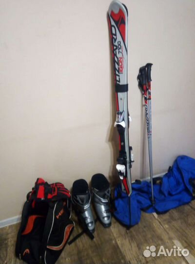 Горные лыжи