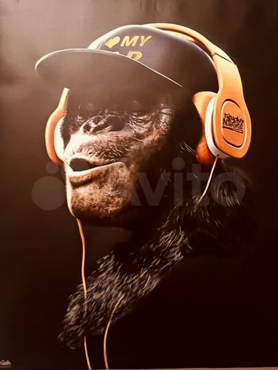 Квартира-студия, 30 м², 19/24 эт.