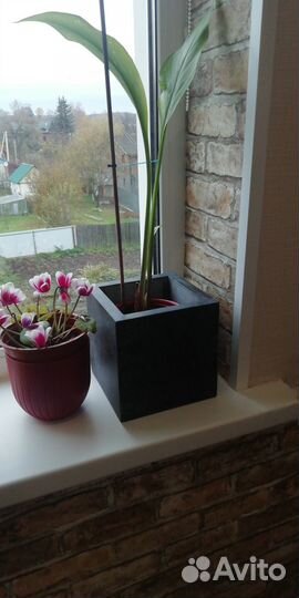 Цветочные горшки камень