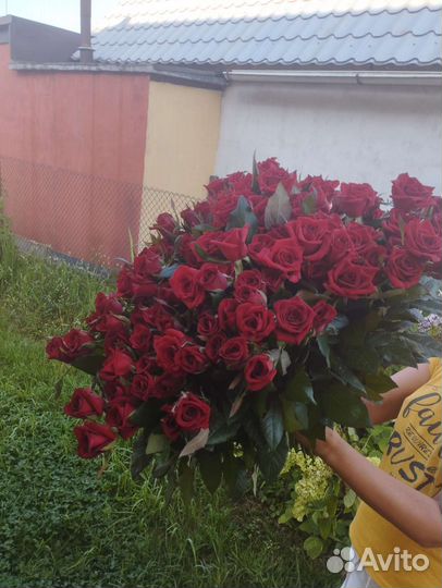Розы срез