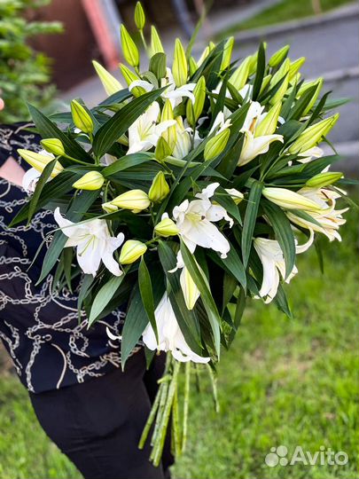 Лилия цветы букеты подарок