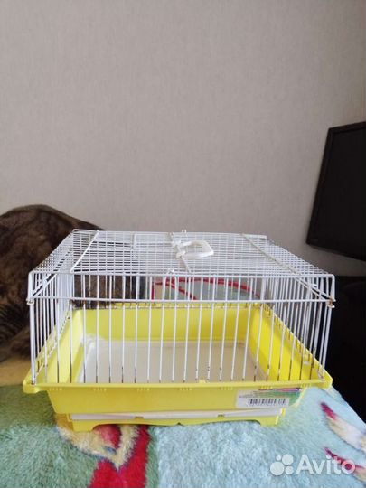 Клетка для хомяка бу торг