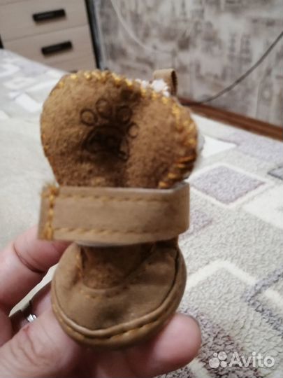 Новые ботинки для собачки