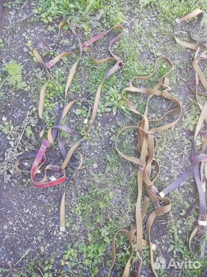 Шлея конская шита в СССР новые