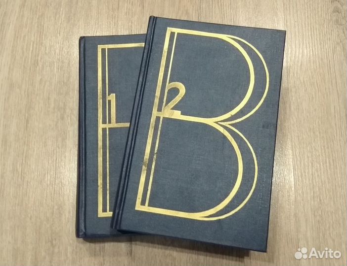 Владимир Высоцкий. Сочинения в 2-х томах