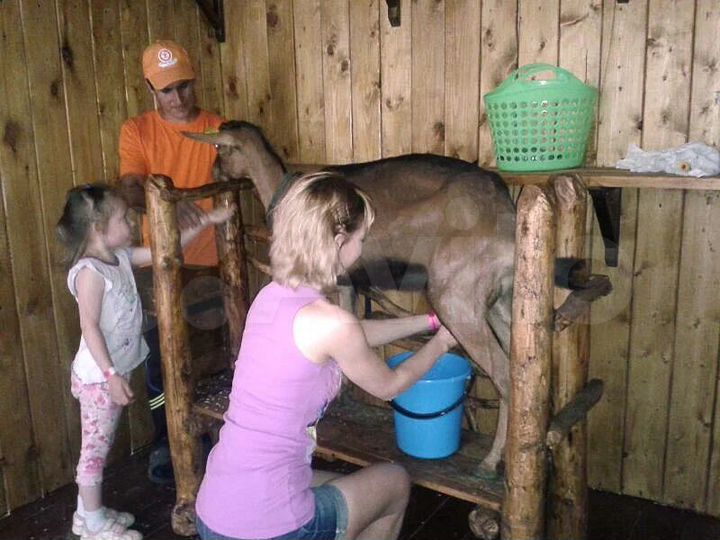 Участок 8,8 сот. (СНТ, ДНП)