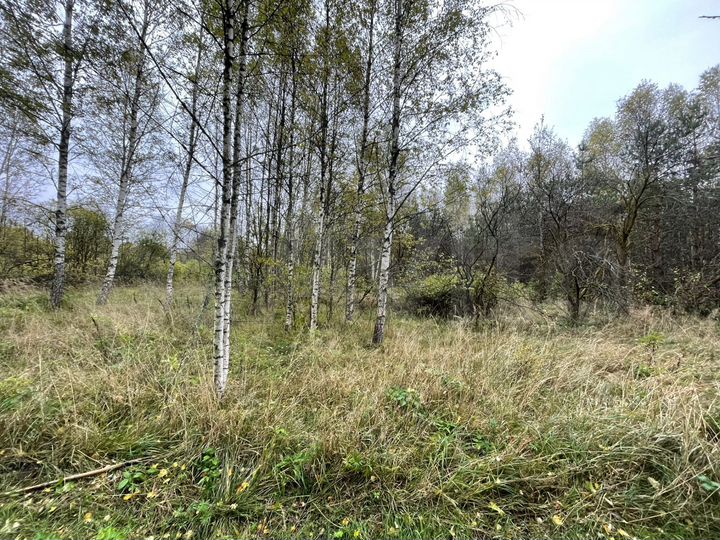 Участок 34 сот. (ИЖС)