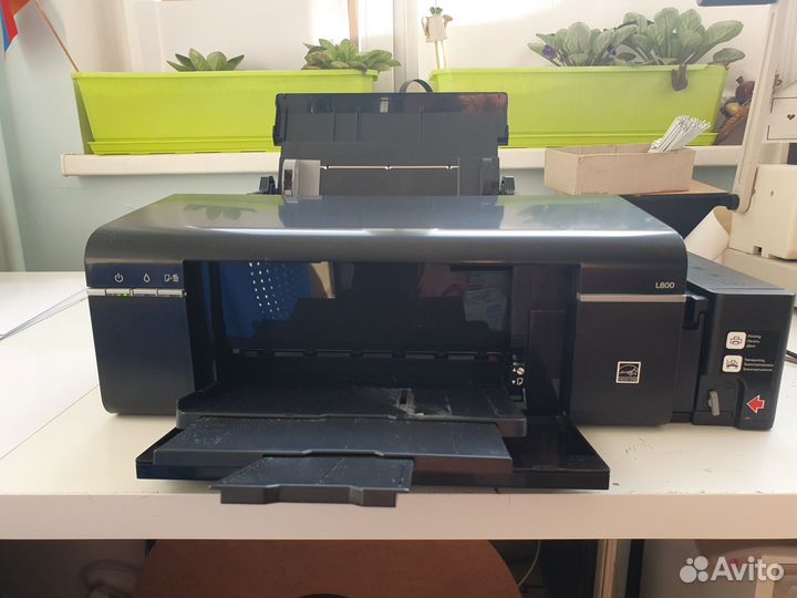 Принтер Epson l800
