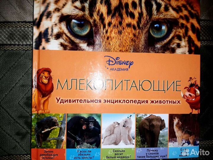 Энциклопедия 