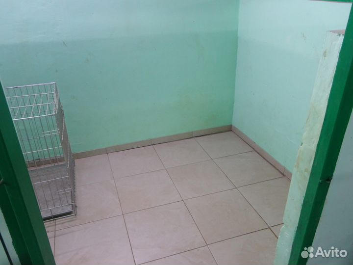 Передержка (гостиница ) для собак