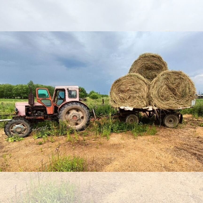 Продам сено в рулонах