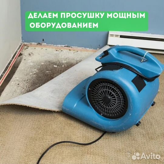 Уборка после потопа / затопления