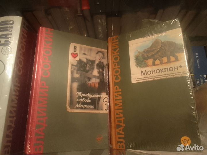 De feminis Сорокин Владимир. Женщины