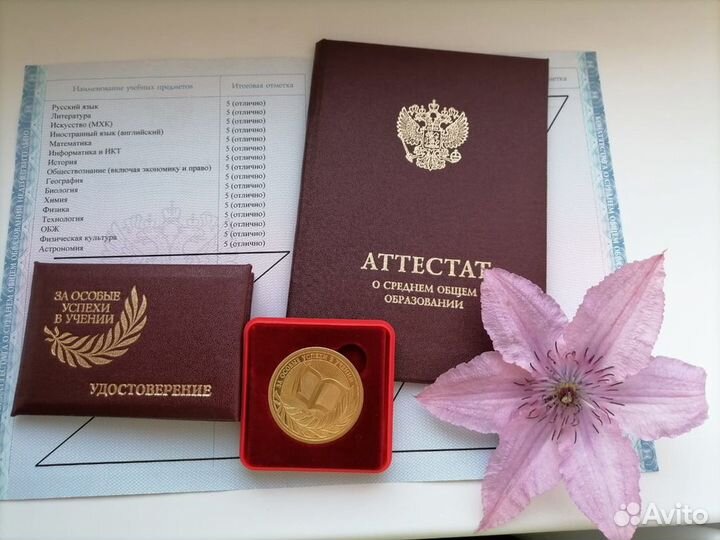 Репетитор по истории: 5-10 класс, огэ, егэ