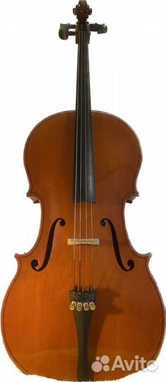 Виолончель 1/2 Strunal