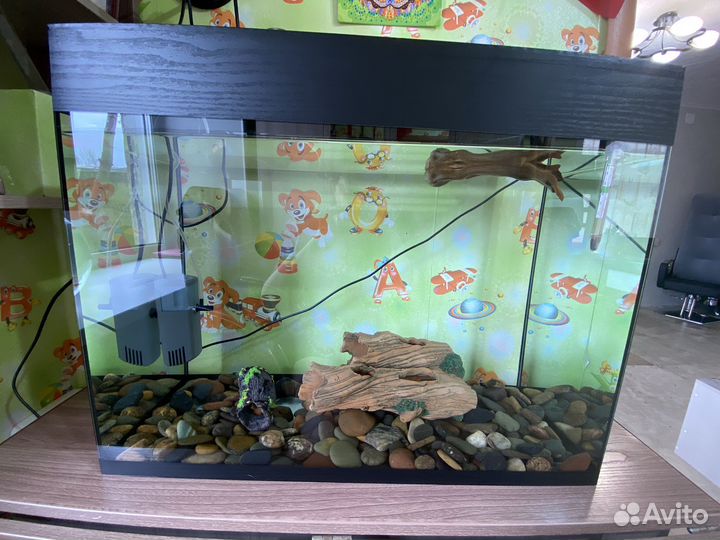Продам аквариум с рыбками и всем нужным для них