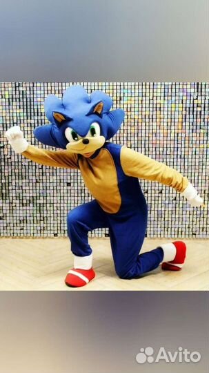 Костюм для Аниматоров Ежик