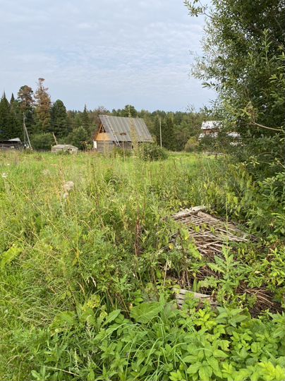 Участок 14 сот. (СНТ, ДНП)