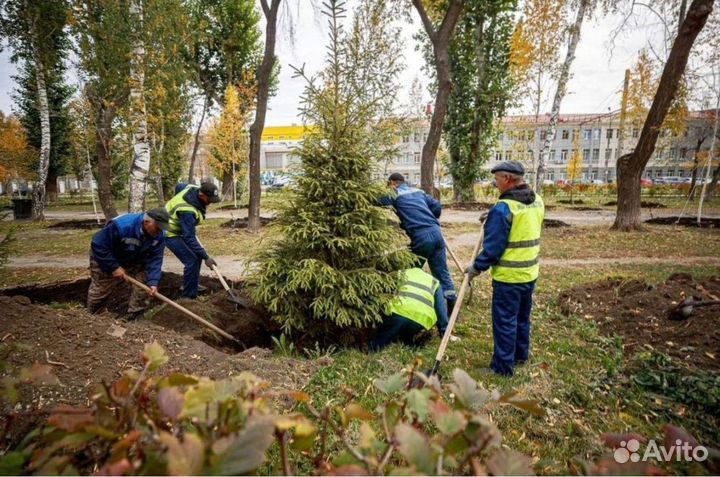 Разнорабочие, подсобники. Подсобные работы