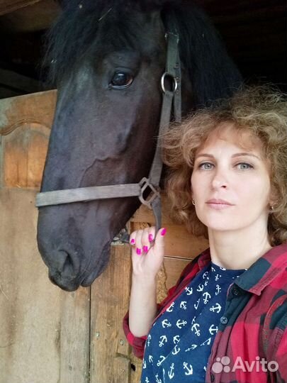 Удаленная работа на дому с ежедневной оплатой