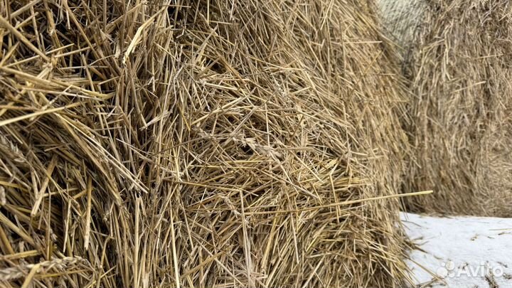 Солома в рулонах