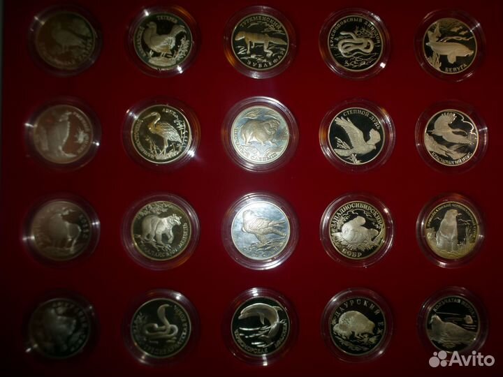 Монеты Серебро Красная Книга РФ Тигр Ёж Бобр Филин