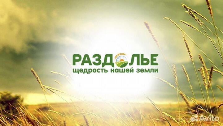 Механизатор