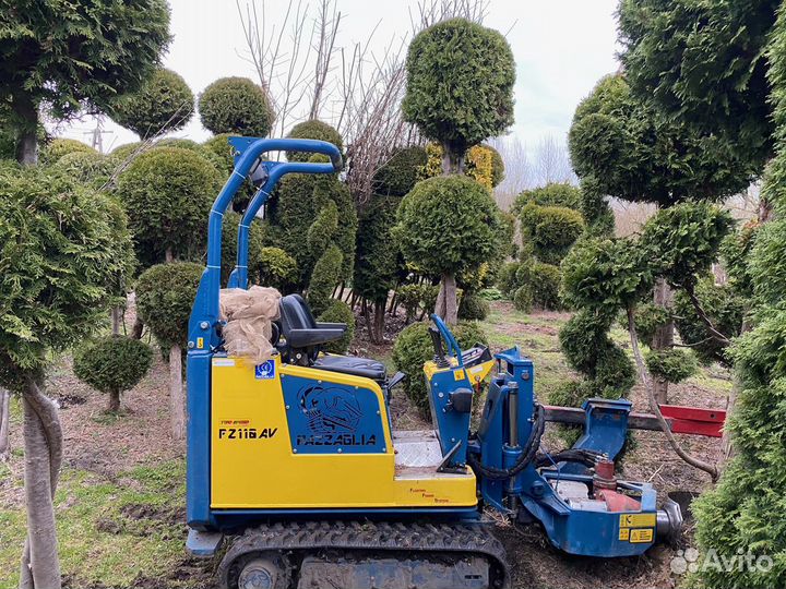 Пересадчик деревьев Pazzaglia FZ110, 2013