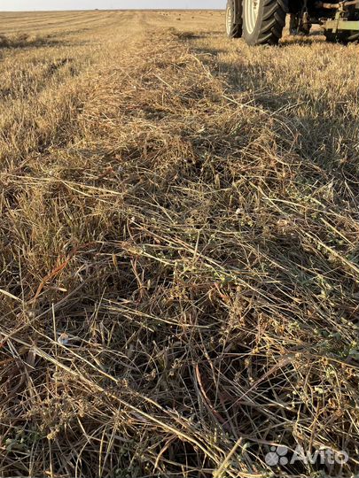 Сено в тюках