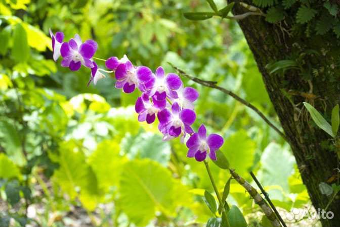 Компактный фотоаппарат nikon