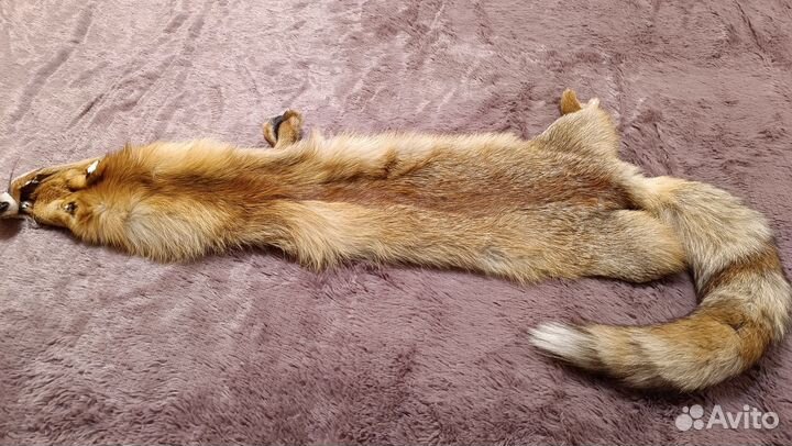 Шкура лисы