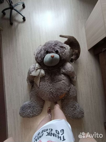 Продам медведя