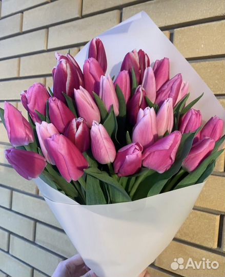 Тюльпаны розница